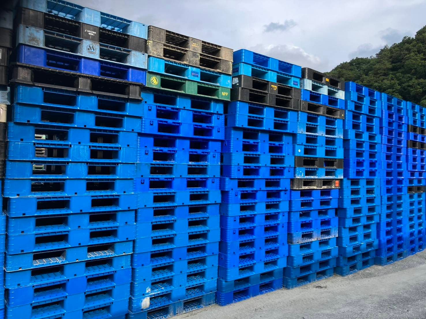 中古 プラスチックパレット