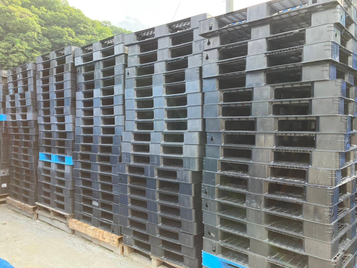 中古 プラスチックパレット