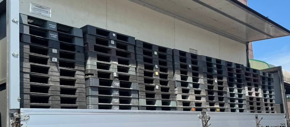 中古 プラスチックパレット
