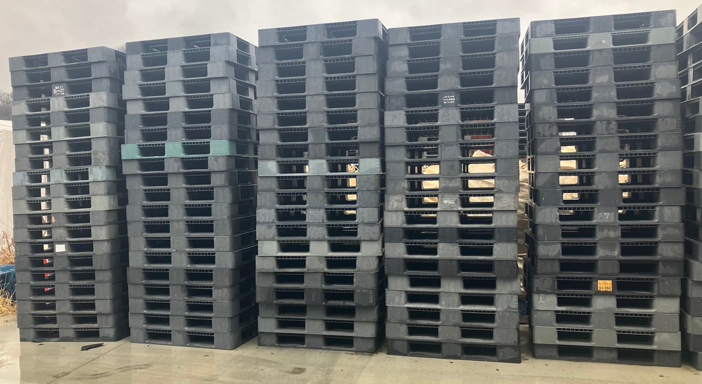 中古 プラスチックパレット
