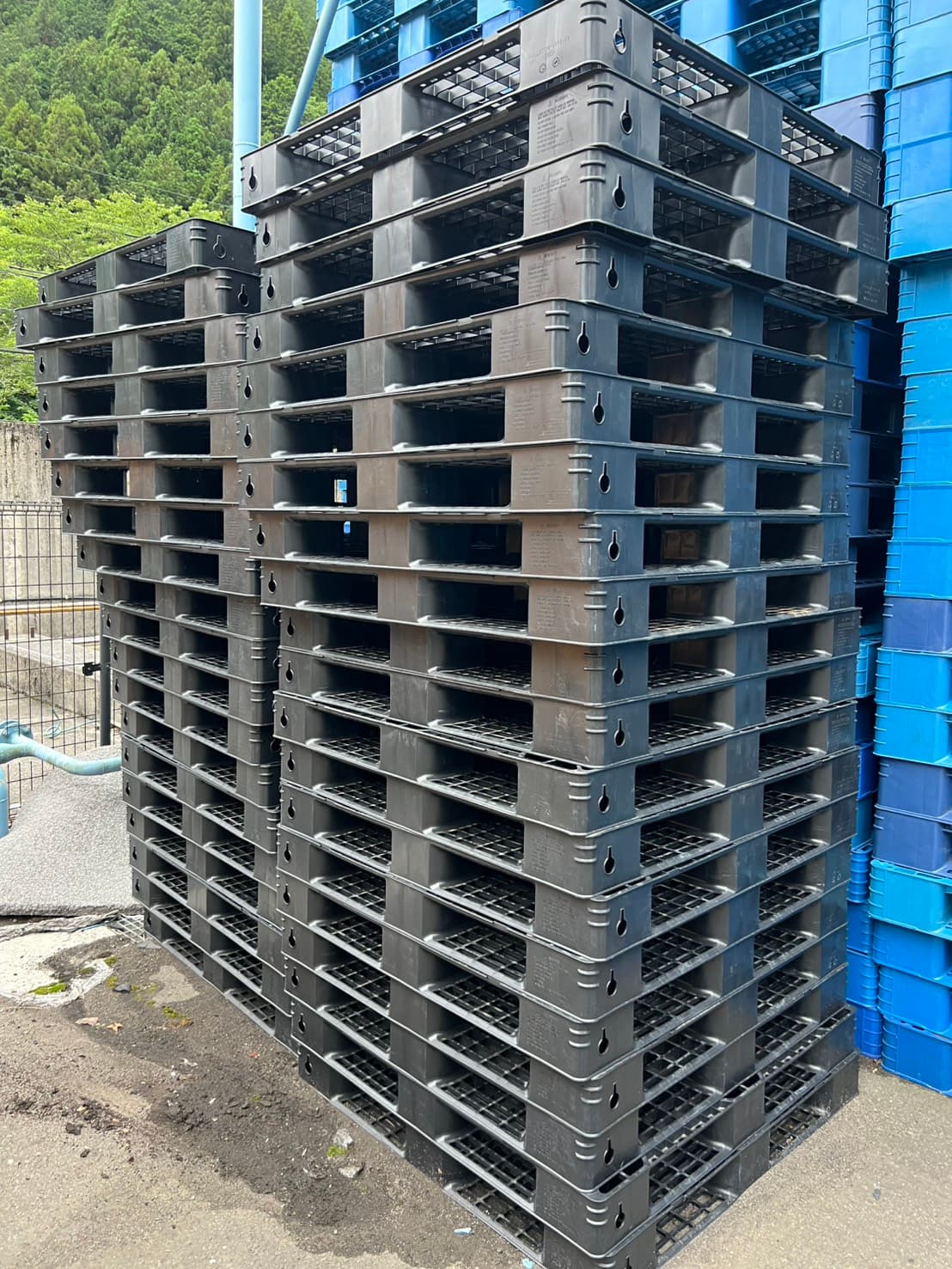 中古 プラスチックパレット